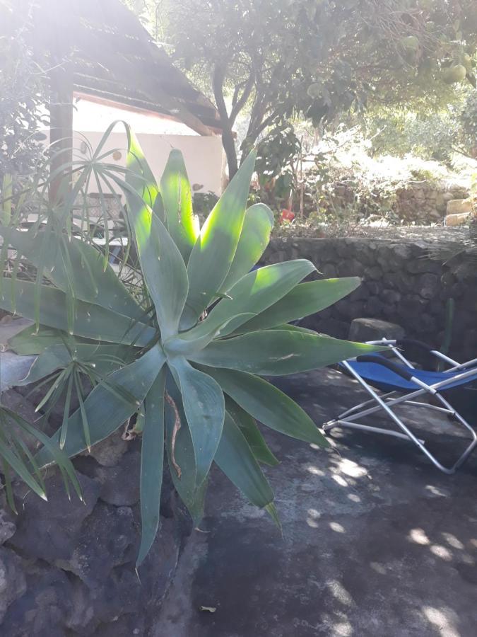 Stromboliparadise Piscita المظهر الخارجي الصورة