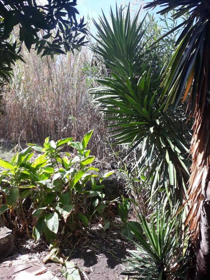 Stromboliparadise Piscita المظهر الخارجي الصورة