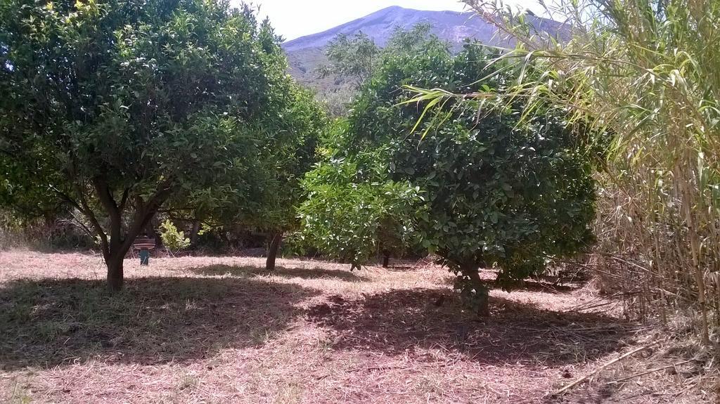Stromboliparadise Piscita المظهر الخارجي الصورة